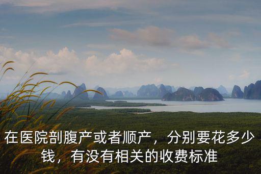 在醫(yī)院剖腹產(chǎn)或者順產(chǎn)，分別要花多少錢，有沒(méi)有相關(guān)的收費(fèi)標(biāo)準(zhǔn)