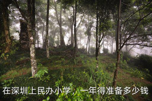 深圳私營(yíng)幼兒園一學(xué)期多少錢(qián),幼兒園一學(xué)期收費(fèi)2000元