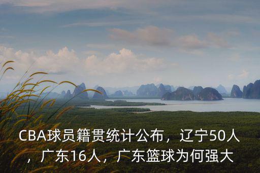 CBA球員籍貫統(tǒng)計(jì)公布，遼寧50人，廣東16人，廣東籃球?yàn)楹螐?qiáng)大