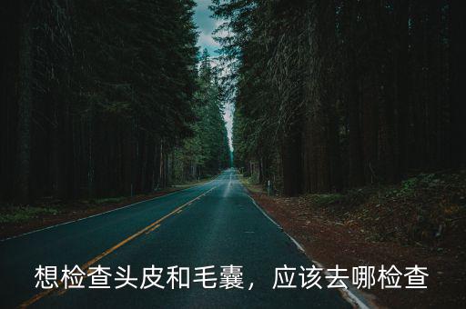 想檢查頭皮和毛囊，應(yīng)該去哪檢查
