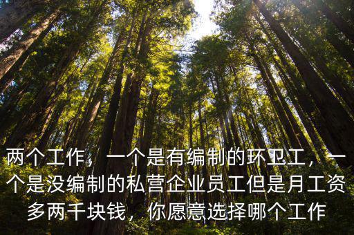 兩個工作，一個是有編制的環衛工，一個是沒編制的私營企業員工但是月工資多兩千塊錢，你愿意選擇哪個工作