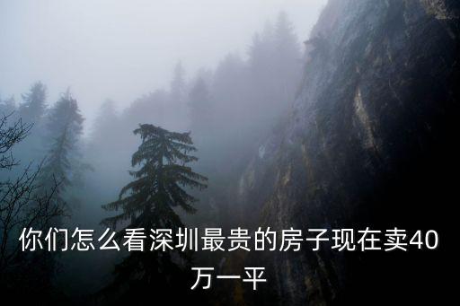 你們怎么看深圳最貴的房子現(xiàn)在賣40萬一平