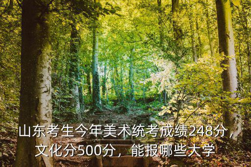山東考生今年美術統考成績248分，文化分500分，能報哪些大學