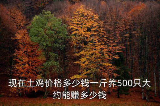 現在土雞價格多少錢一斤養500只大約能賺多少錢