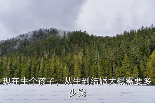 現(xiàn)在生個(gè)孩子，從生到結(jié)婚大概需要多少錢(qián)