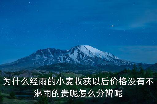 為什么經(jīng)雨的小麥?zhǔn)斋@以后價格沒有不淋雨的貴呢怎么分辨呢