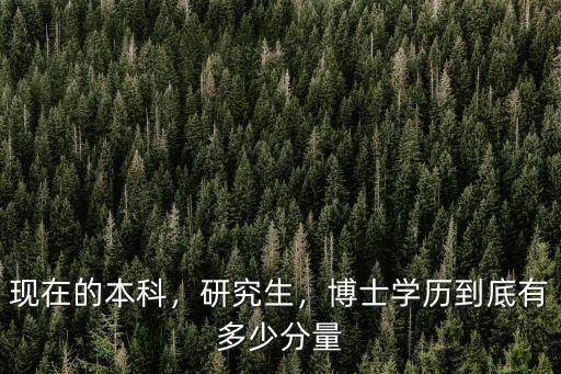 煙臺博士年薪多少,博士學(xué)歷到底有多少分量