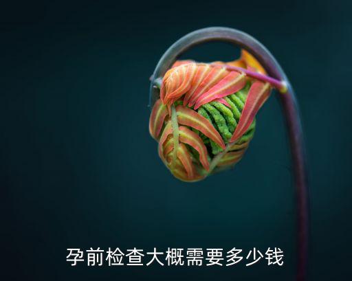 孕前檢查大概需要多少錢