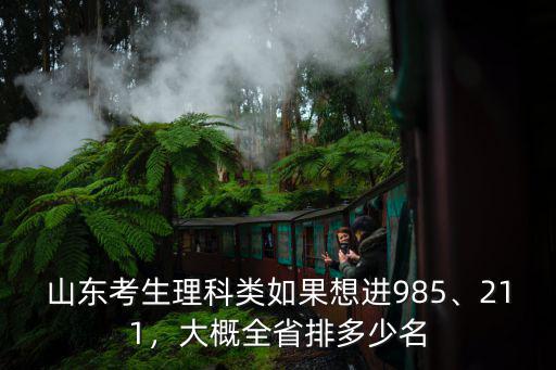 山東考生理科類如果想進(jìn)985、211，大概全省排多少名