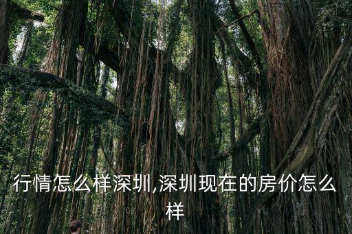 今年行情怎么樣深圳,深圳現在的房價怎么樣