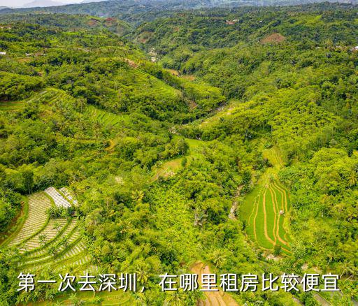 深圳哪里可以租到小區房租,第一次去深圳