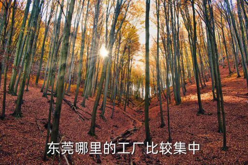 東莞的制衣廠有多少家,東莞有沒有好一點的制衣廠