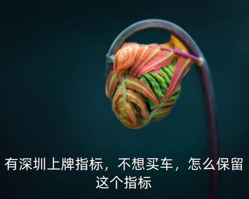 有深圳上牌指標，不想買車，怎么保留這個指標