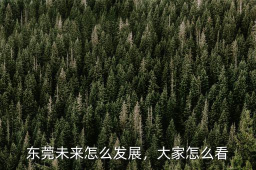 東莞是怎么崛起,東莞的經(jīng)濟應該如何崛起