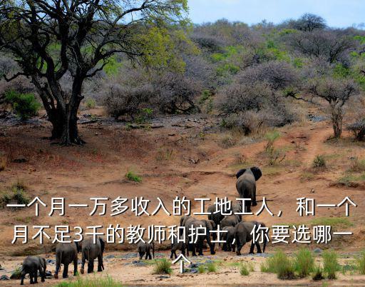 一個(gè)月一萬(wàn)多收入的工地工人，和一個(gè)月不足3千的教師和護(hù)士，你要選哪一個(gè)