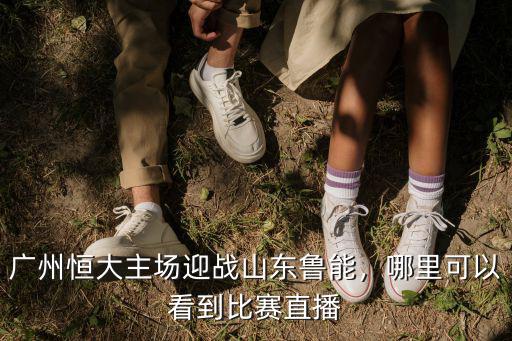 廣州哪里斗狗比賽視頻直播,哪里有視頻直播