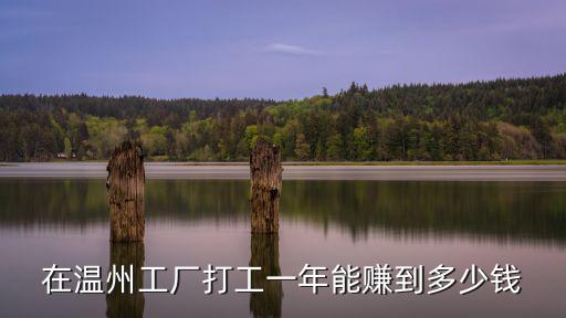 在溫州工廠打工一年能賺到多少錢