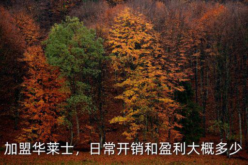 加盟華萊士，日常開銷和盈利大概多少
