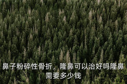 鼻子粉碎性骨折，隆鼻可以治好嗎隆鼻需要多少錢