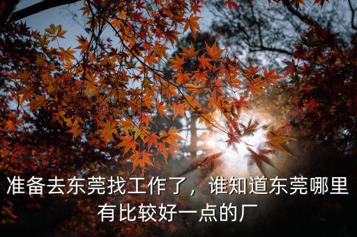 準(zhǔn)備去東莞找工作了，誰(shuí)知道東莞哪里有比較好一點(diǎn)的廠