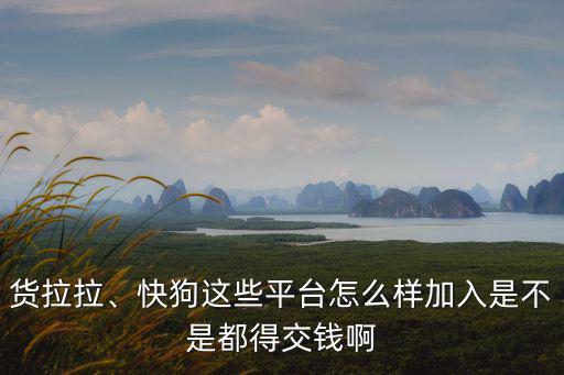 湖州貨拉拉平臺電話是多少,貨拉拉平臺還能走多遠