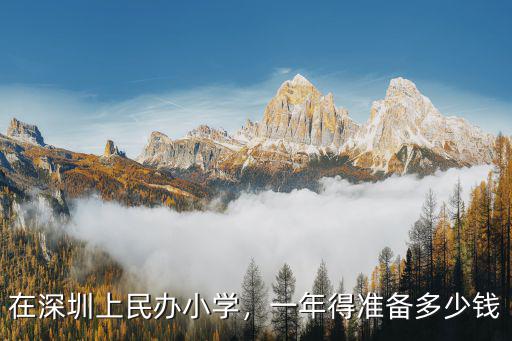 深圳愛(ài)民小學(xué)在哪里,深圳哪里的小學(xué)學(xué)位比較好