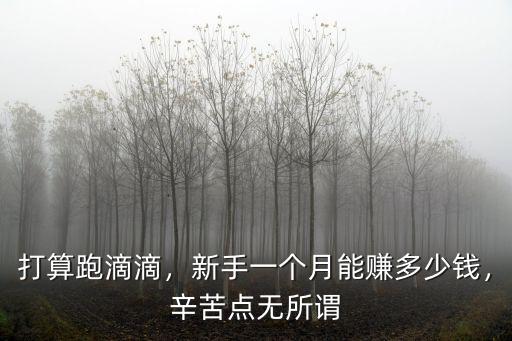 打算跑滴滴，新手一個月能賺多少錢，辛苦點無所謂