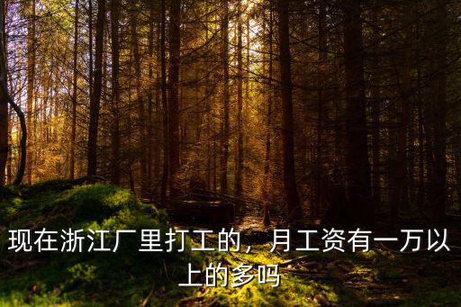 現在浙江廠里打工的，月工資有一萬以上的多嗎