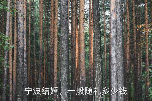 寧波結婚，一般隨禮多少錢