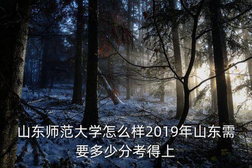 山東師范大學怎么樣2019年山東需要多少分考得上