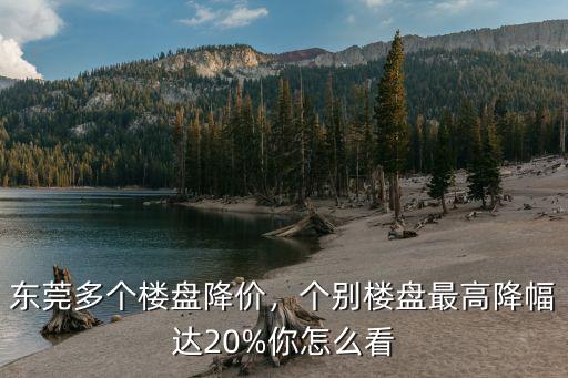 東莞繽瑞降價多少,東莞多個樓盤降價