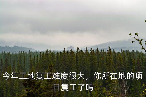 今年工地復工難度很大，你所在地的項目復工了嗎