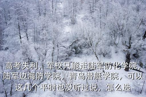 高考失利，軍校只能走陸軍防化學院，陸軍邊海防學院，青島潛艇學院，可以這幾個平時也沒聽過說，怎么選