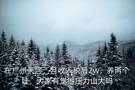 廣州家庭月收入多少才夠養孩子,月收入稅后2w