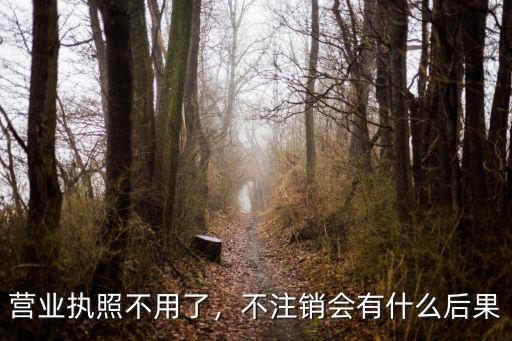 營業(yè)執(zhí)照不用了，不注銷會有什么后果