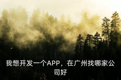 廣州軟件公司在哪里開,開一家軟件開發(fā)公司