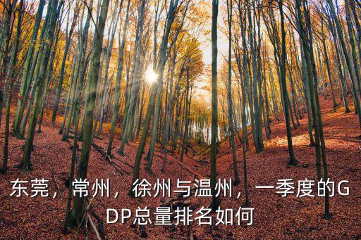 東莞，常州，徐州與溫州，一季度的GDP總量排名如何