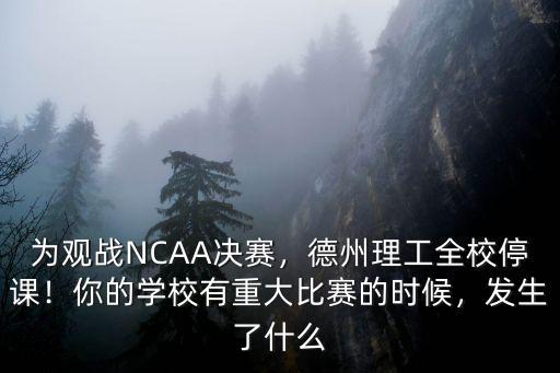 德州理工的全獎多少錢,德州理工這場比賽輸在哪里