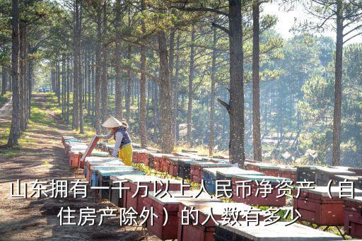 淄博市億萬富翁有多少人,中國有多少億萬富翁