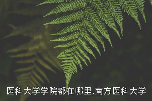 廣東醫(yī)科大學學院都在哪里,南方醫(yī)科大學