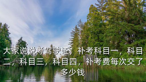 大家說說考駕駛證，補考科目一，科目二，科目三，科目四，補考費每次交了多少錢