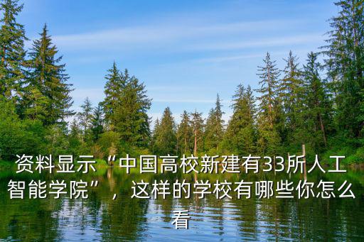 資料顯示“中國高校新建有33所人工智能學院”，這樣的學校有哪些你怎么看