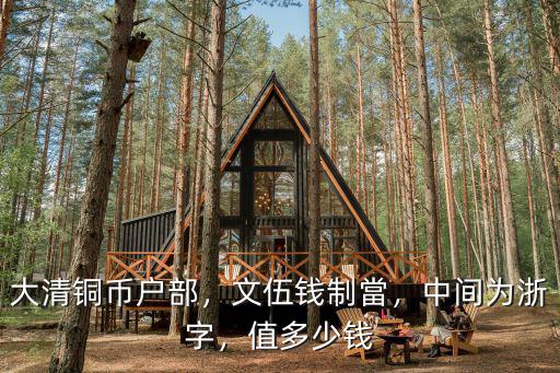 大清銅幣戶部，文伍錢制當，中間為浙字，值多少錢
