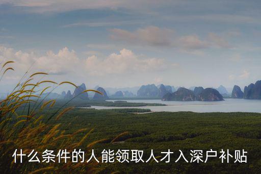 什么條件的人能領(lǐng)取人才入深戶補(bǔ)貼