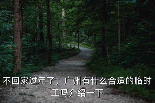 不回家過年了，廣州有什么合適的臨時工嗎介紹一下