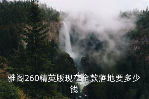 雅閣260精英版現(xiàn)在全款落地要多少錢