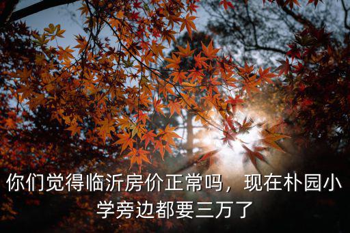 你們覺得臨沂房價正常嗎，現在樸園小學旁邊都要三萬了