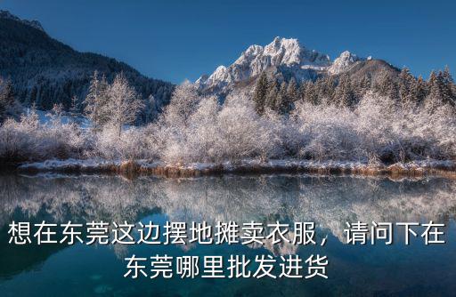 東莞東城大德匯在哪里,請問下在東莞哪里批發(fā)進貨