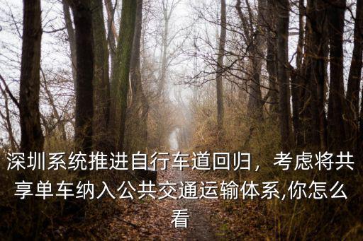 深圳系統(tǒng)推進(jìn)自行車道回歸，考慮將共享單車納入公共交通運(yùn)輸體系,你怎么看