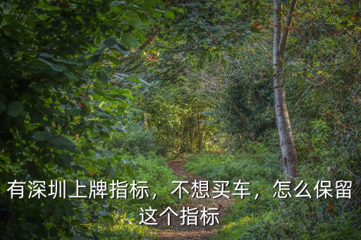 深圳車(chē)牌指標(biāo)可以保留多少時(shí)間,有深圳上牌指標(biāo)